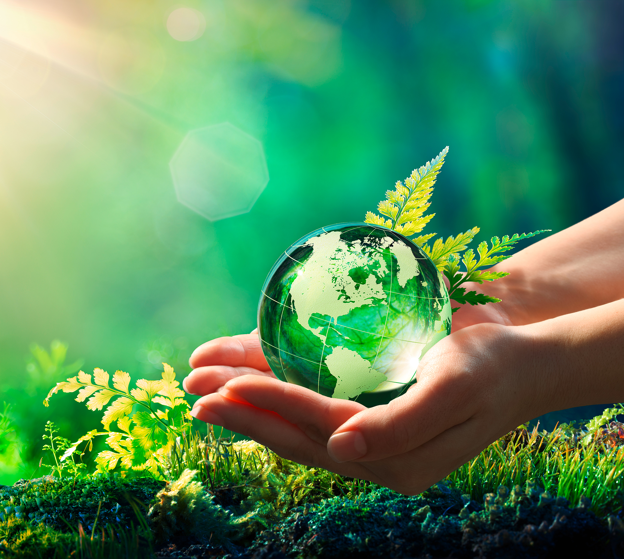 Pollution-free environment in the lap of nature